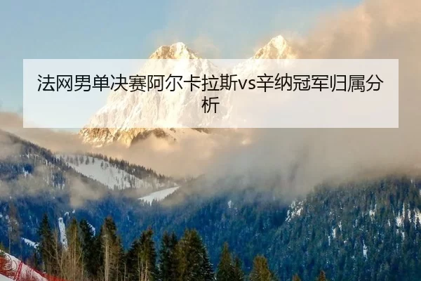 fa-wang-nan-dan-jue-sai-a-er-ka-la-si-xin-na-guan-jun-gui-shu-fen-xi-2-172.jpg